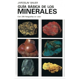 Book BASIC GUIDE TO...