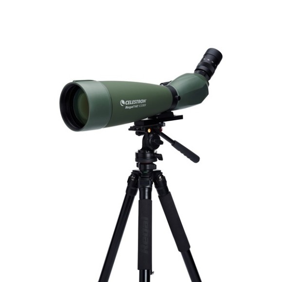 Terrestrial Telescope Celestron Regal M2 100ED