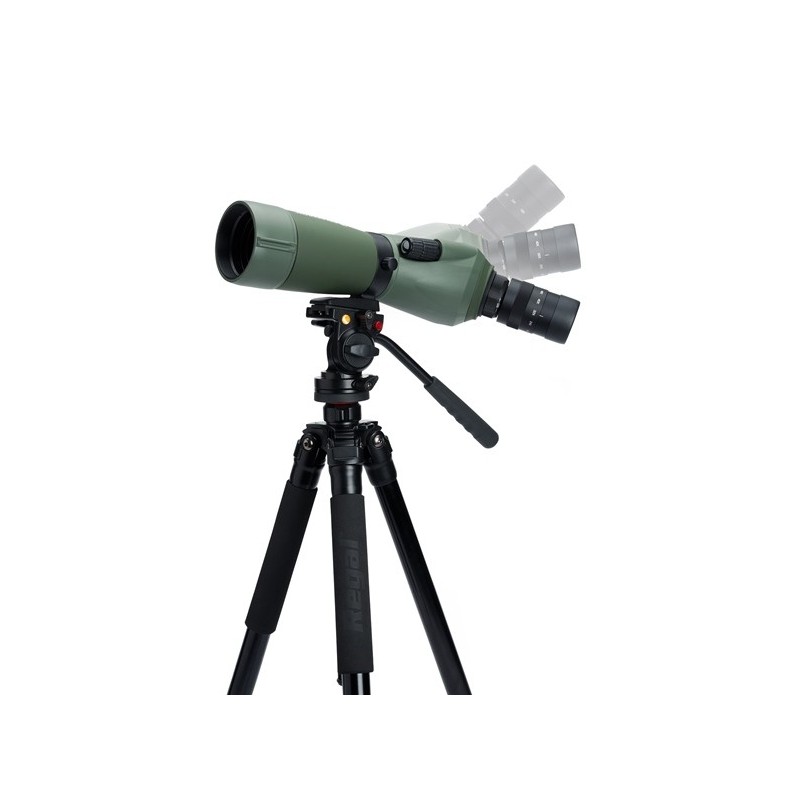 Terrestrial Telescope Celestron Regal...