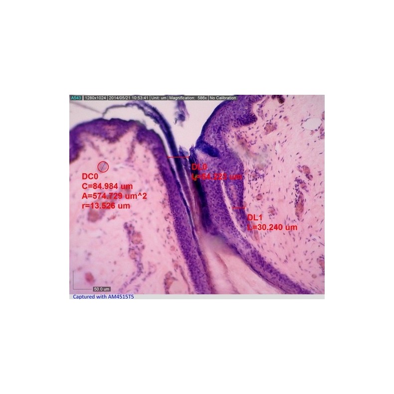 Digital Microscope Dino-Lite USB...