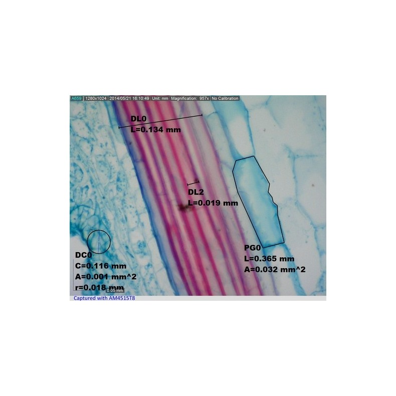 Digital Microscope Dino-Lite USB...