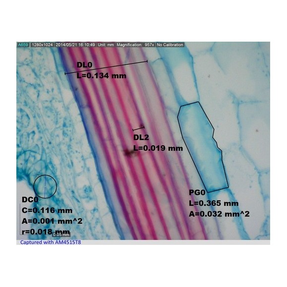 Digital Microscope Dino-Lite USB AM4515T8 EDGE