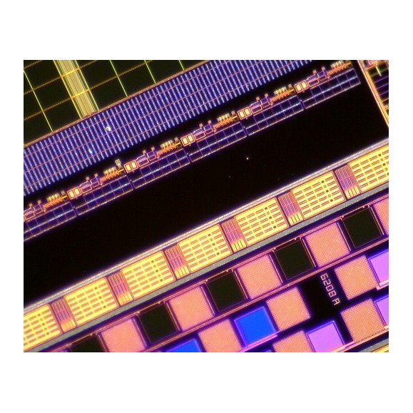 Digital Microscope Dino-Lite USB AM4515T8 EDGE