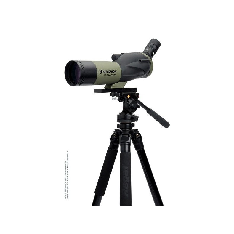 Terrestrial Telescope Celestron... Terrestrial Telescope Celestron...