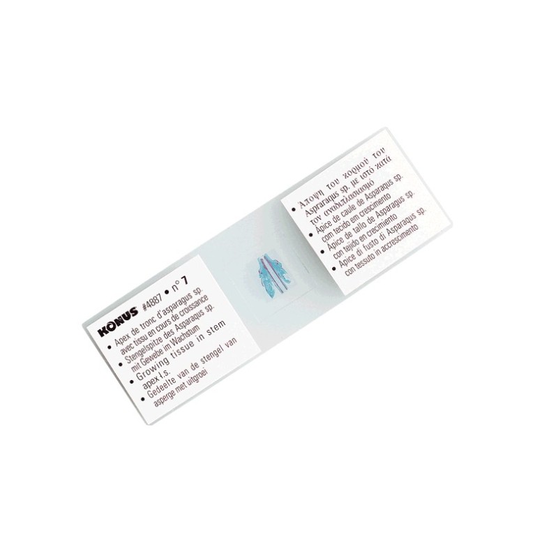 Prepared samples SERIES FOR BIOLOGY... Prepared samples SERIES FOR BIOLOGY...