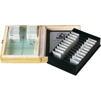 Prepared samples SERIES FOR...