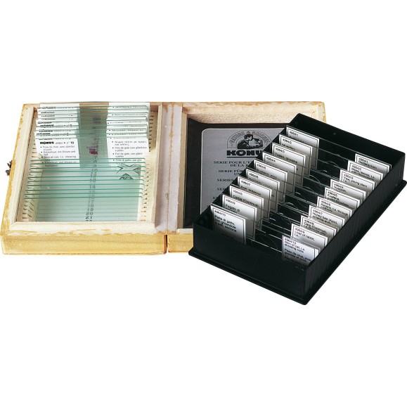 Prepared samples SERIES FOR BIOLOGY TEACHING 1 4963