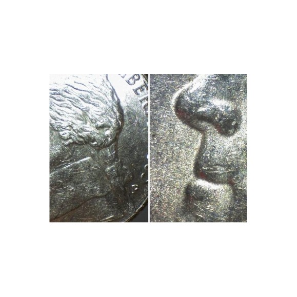 Digital microscope Tasco Amoeba Red