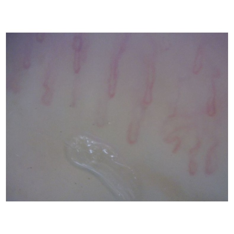 Digital Microscope Dino-Lite... Digital Microscope Dino-Lite...