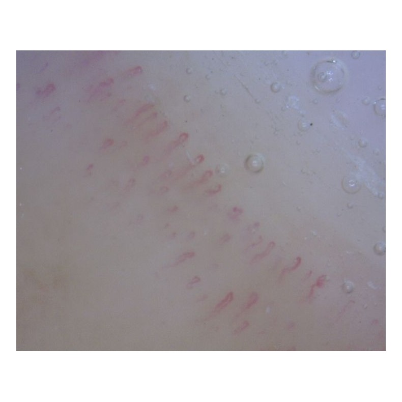 Digital Microscope Dino-Lite... Digital Microscope Dino-Lite...