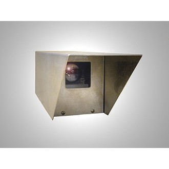 Seeing Monitor SBS SM-2