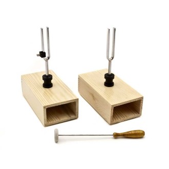 Pair of tuning forks OPTIKA...