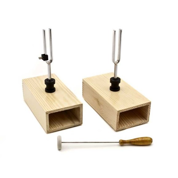 Pair of tuning forks OPTIKA SCIENCE