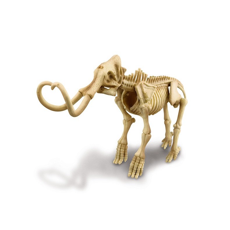 Mammoth Skeleton Dinosaur 4M Mammoth Skeleton Dinosaur 4M