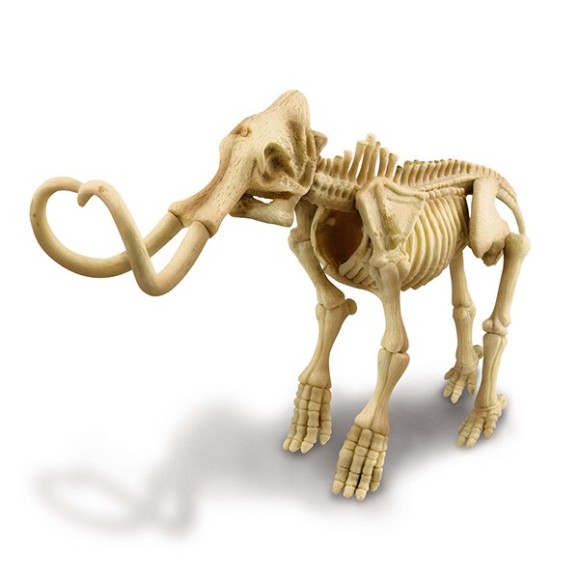 Mammoth Skeleton Dinosaur 4M