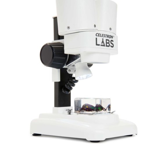 Stereo microscope Celestron Labs S20
