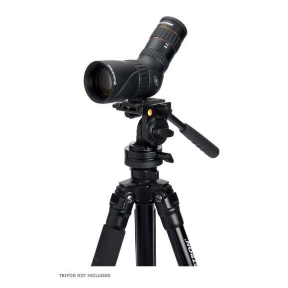 Terrestrial telescope Celestron Hummingbird ED 9-27x56 45º