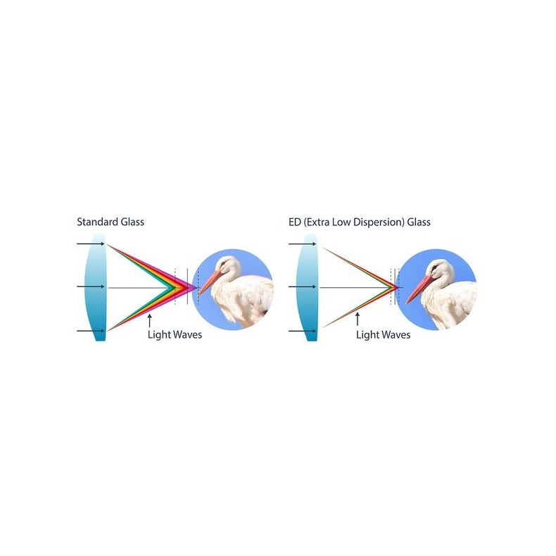 Binoculars Celestron Trailseeker ED 8X42 Binoculars Celestron Trailseeker ED 8X42