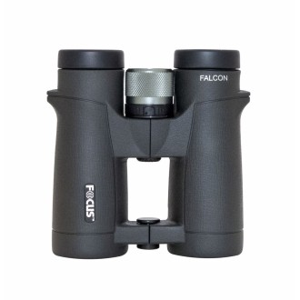 Focus shop falcon 8x42