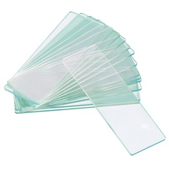 Empty two-cavity slides...