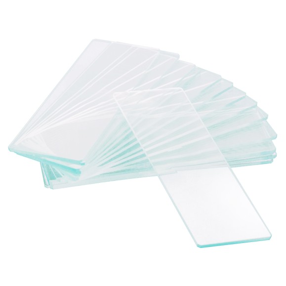 Empty single-cavity slides Levenhuk G50 1H, 50 pcs