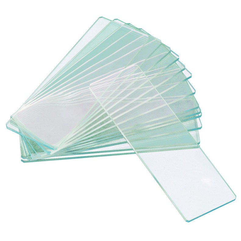 Empty two-cavity slides Levenhuk G50...