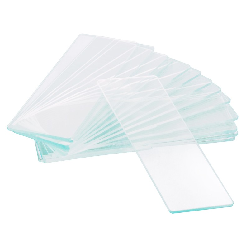Empty single-cavity slides Levenhuk...