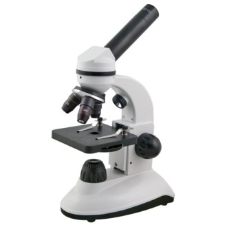 Microscope BMS 036 LED...