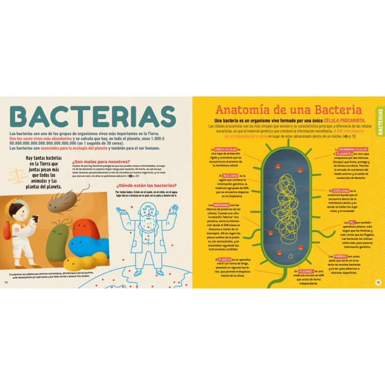 Microbes Microbes