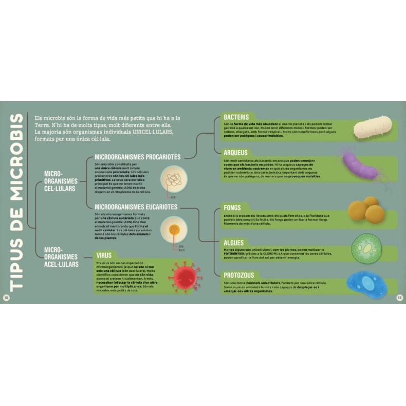 Microbis (EN CATALÀ) Microbis (EN CATALÀ)