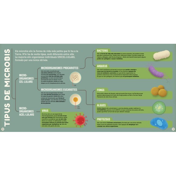 Microbis (EN CATALÀ)