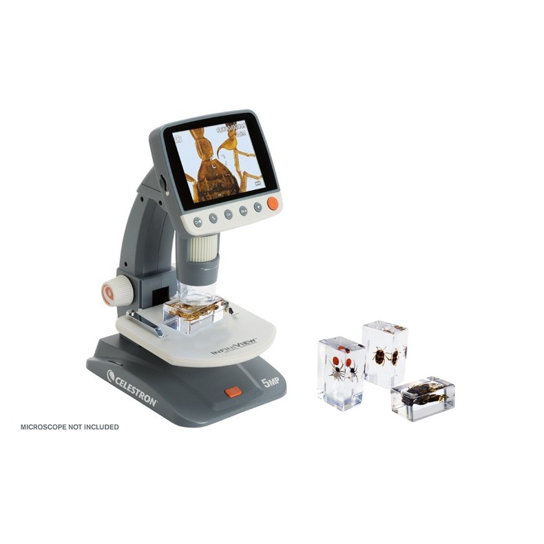 Insect 3D Preparations Kit No. 4 Insect 3D Preparations Kit No. 4