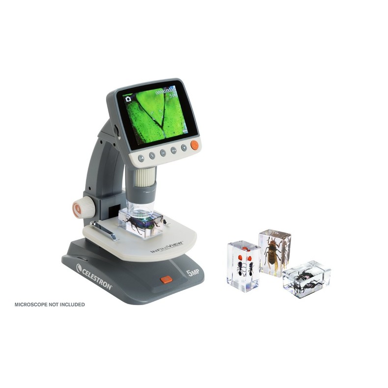 Insect 3D Preparations Kit No. 5 Insect 3D Preparations Kit No. 5