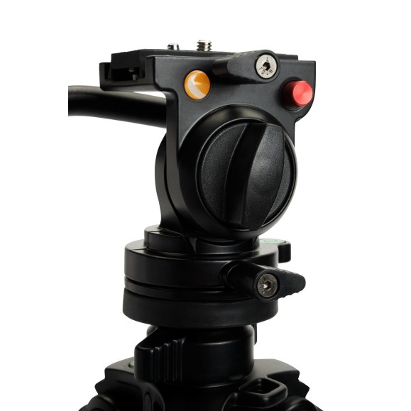Tripod Celestron Regal Premium