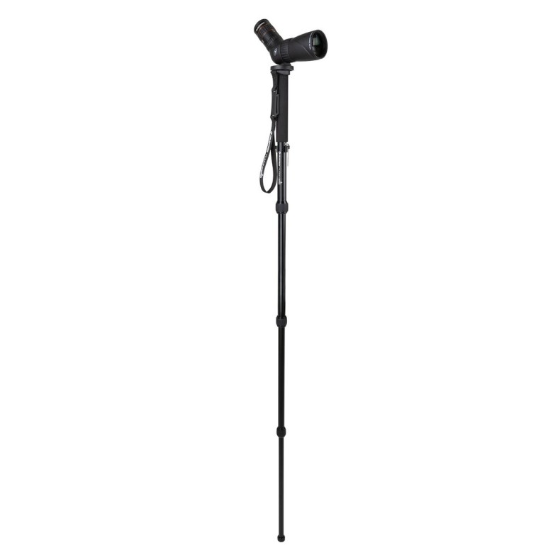 Monopod Celestron Hummingbird