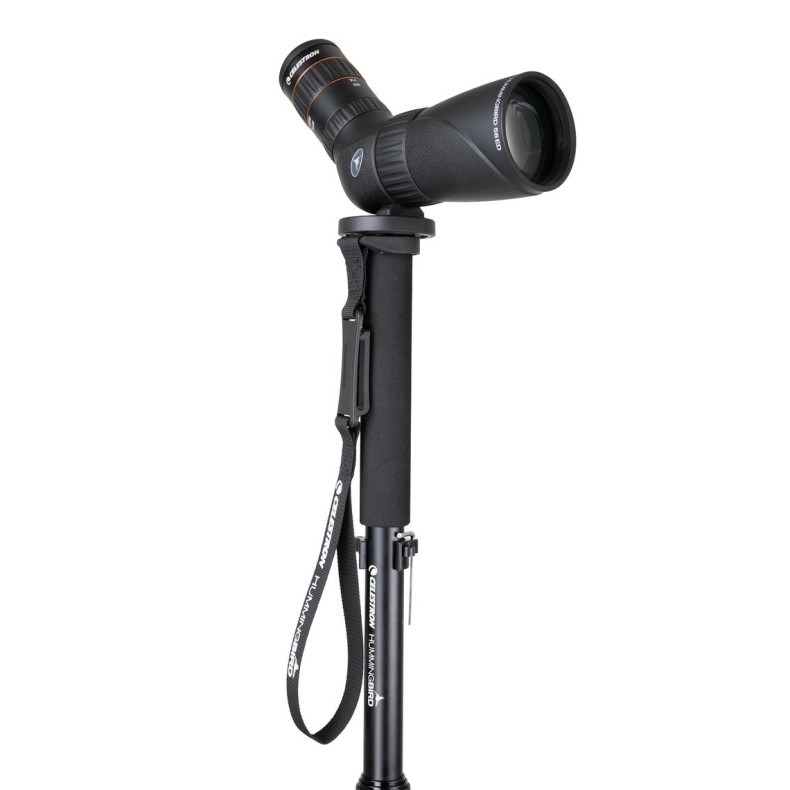Monopod Celestron Hummingbird