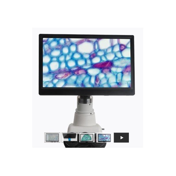 Screen BMS CellPad 3 Wifi 5Mp HDMI