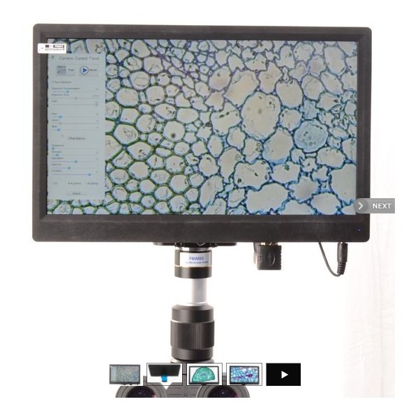 Screen BMS CellPad 3 Wifi 5Mp HDMI