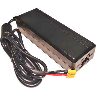 PegasusAstro 12V 10A EU...