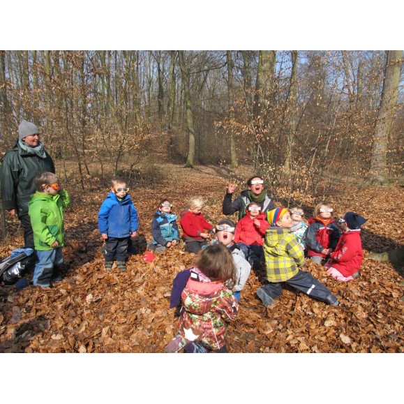 Pack of 100 units of BAADER PLANETARIUM AstroSolar® Solar eclipse glasses Silver/Gold 2459297