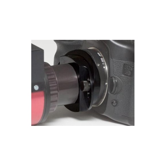 Daystar T-Mount Interference Corrector