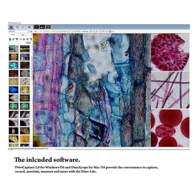 Eyepiece camera Dino-Lite AM7025X