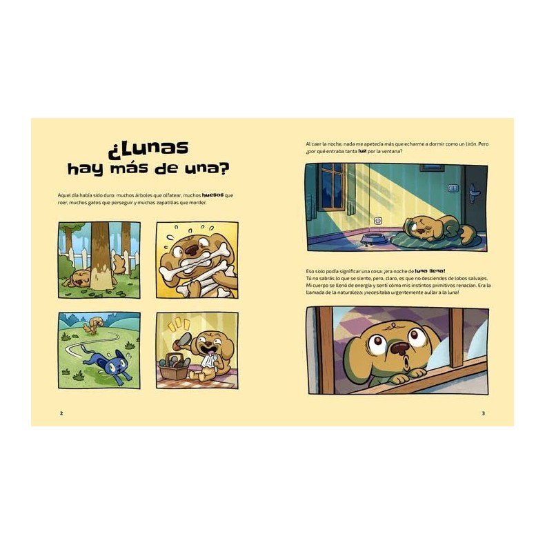 Book The Universe (Nanda Rea) Book The Universe (Nanda Rea)