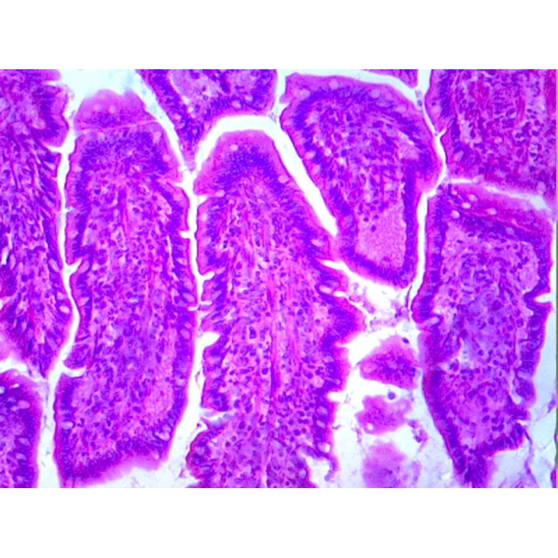 Box of preparations 100 units Box of preparations 100 units