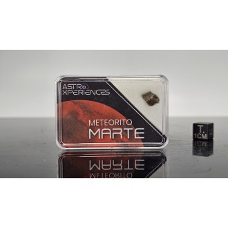 Mars Meteorite Erg Chech 012