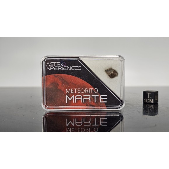 Mars Meteorite Erg Chech 012