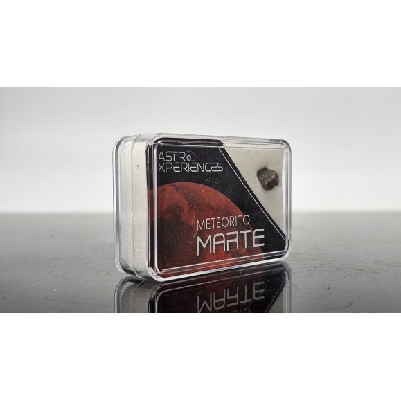 Mars Meteorite Erg Chech 012