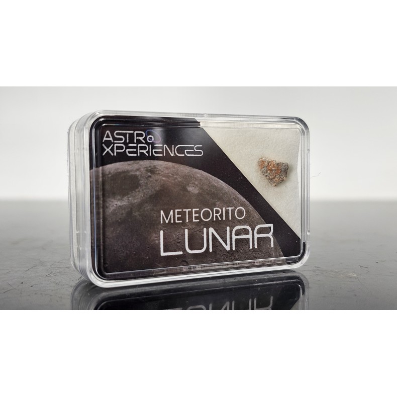 Lunar meteorite Bechar 007 Lunar meteorite Bechar 007