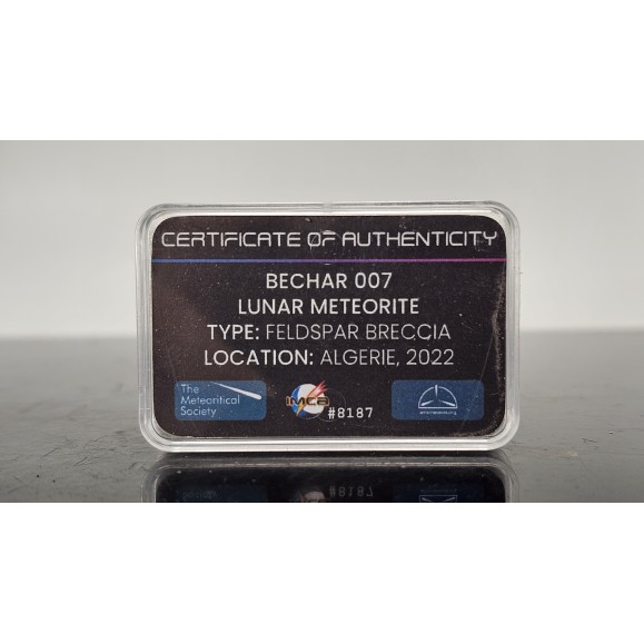 Lunar meteorite Bechar 007