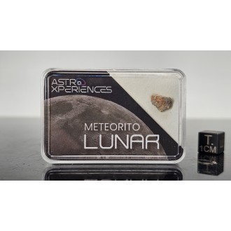Lunar meteorite Bechar 007
